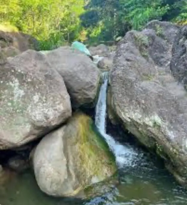 Vivian'S Place Kingston Jamaica